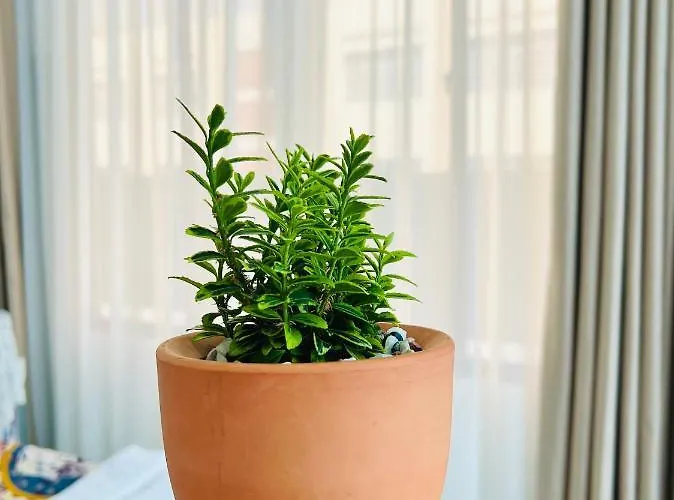 Khách sạn hẻo lánh An 3*